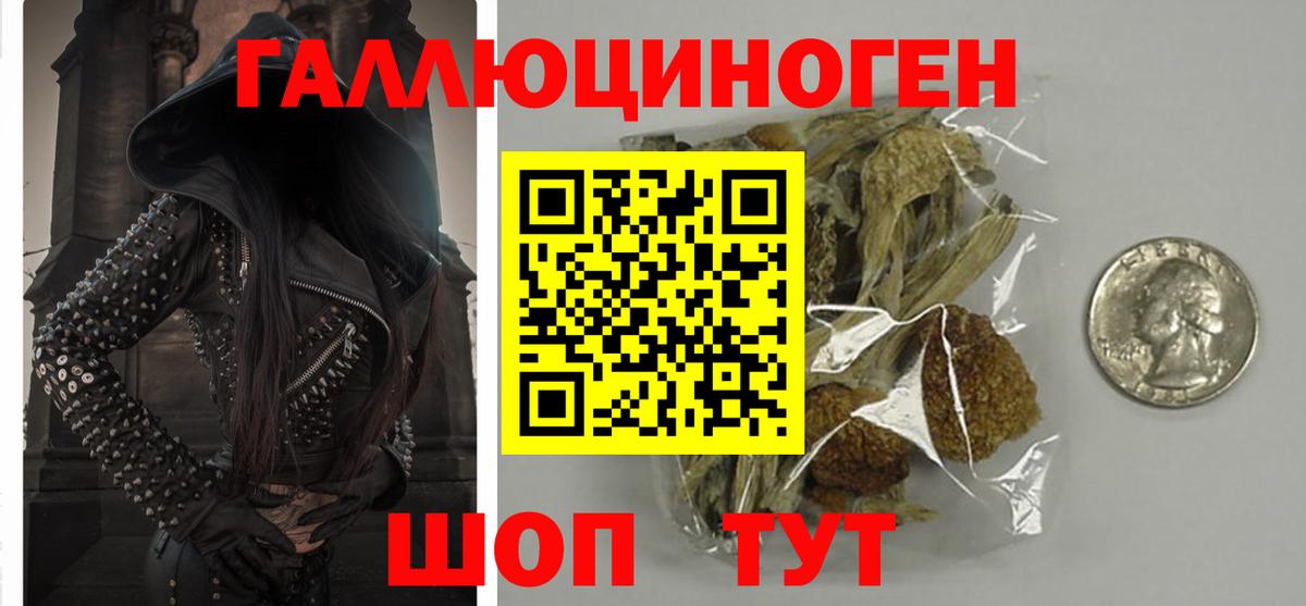 Севастополь  Галлюциногенные грибы GOLDEN TEACHER  Псилоцибиновые грибы Psilocybine cubensis  Вход с VPN 